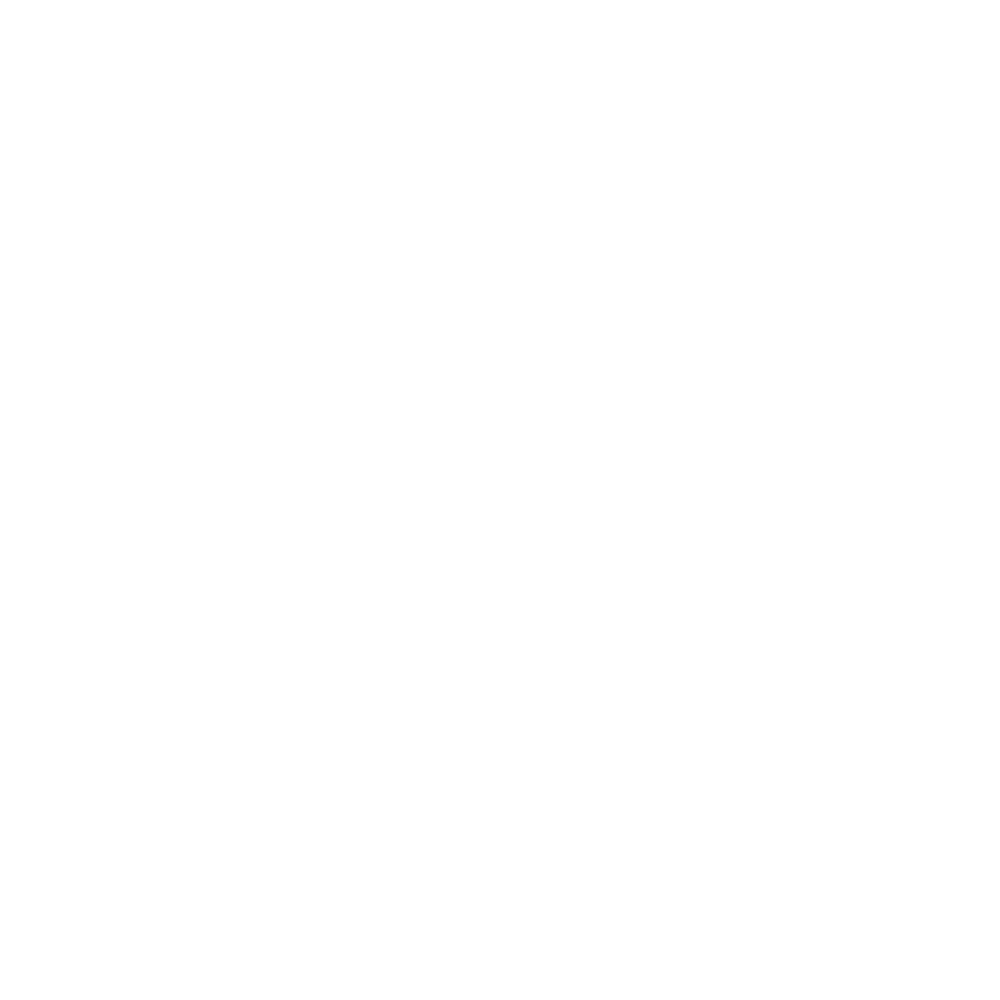 Amtsalon Logo weiß